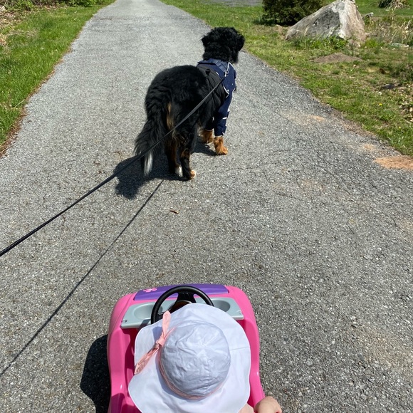 Meet your Posher, Mary - Picture 11 of 11